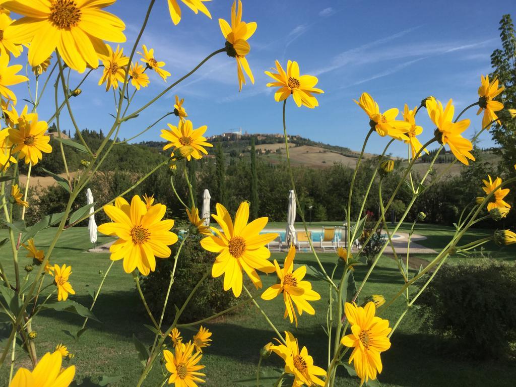 Agriturismo Marinello Pienza Exterior foto